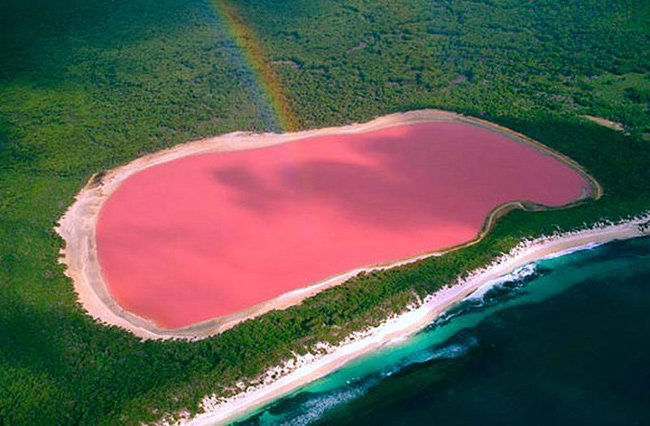 Hồ Hillier có màu hồng sặc sỡ quanh năm.